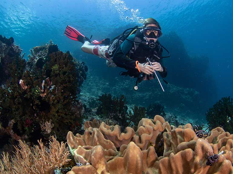 advanced open water course komodo