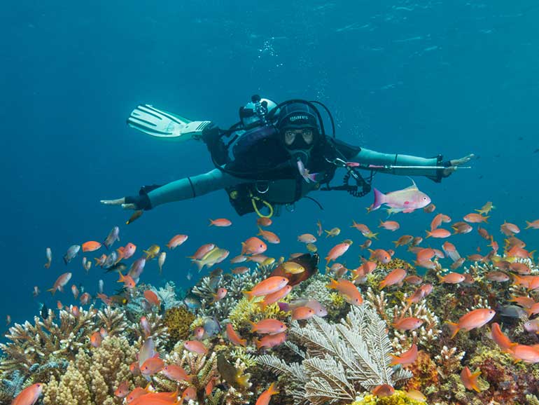 diving komodo