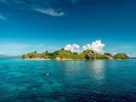 snorkeling komodo