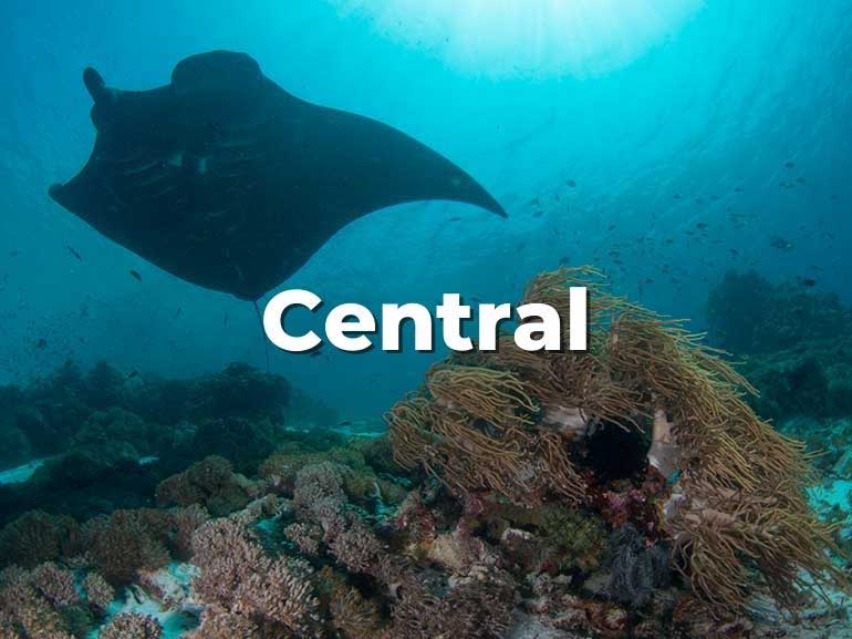 central komodo diving