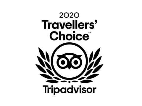 trip advisor widget